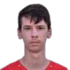 Alen Dizdarevic player photo