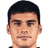 Alex Ibacache player photo