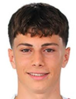 Ali Demirbilek player photo