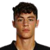 Andrea Bozzolan player photo