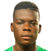 Borel Tomandzoto player photo