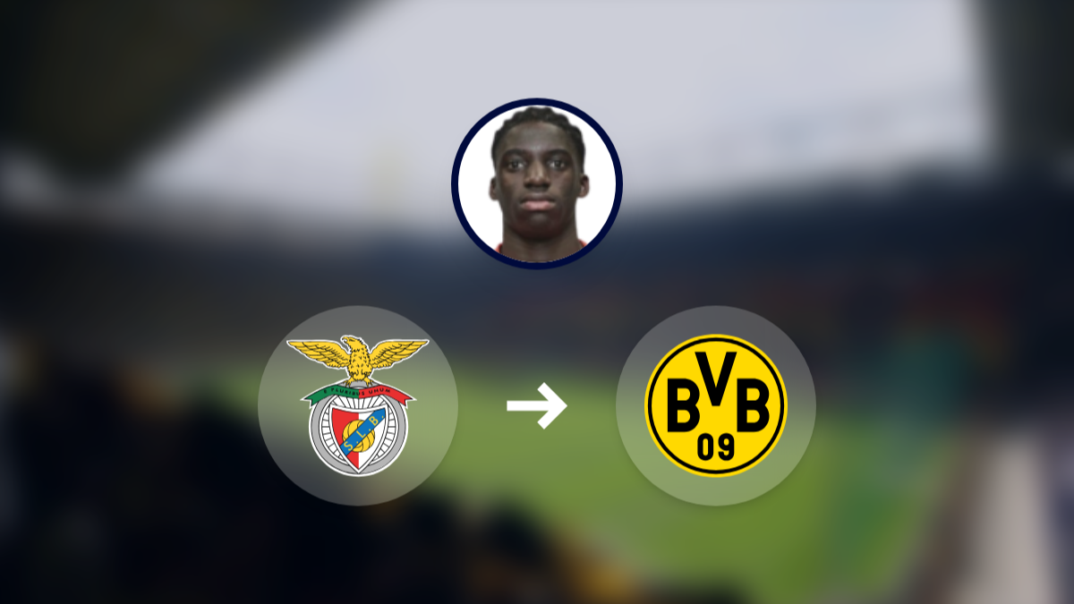 Borussia Dortmund among clubs monitoring Benfica's Daniel Banjaqui hero image
