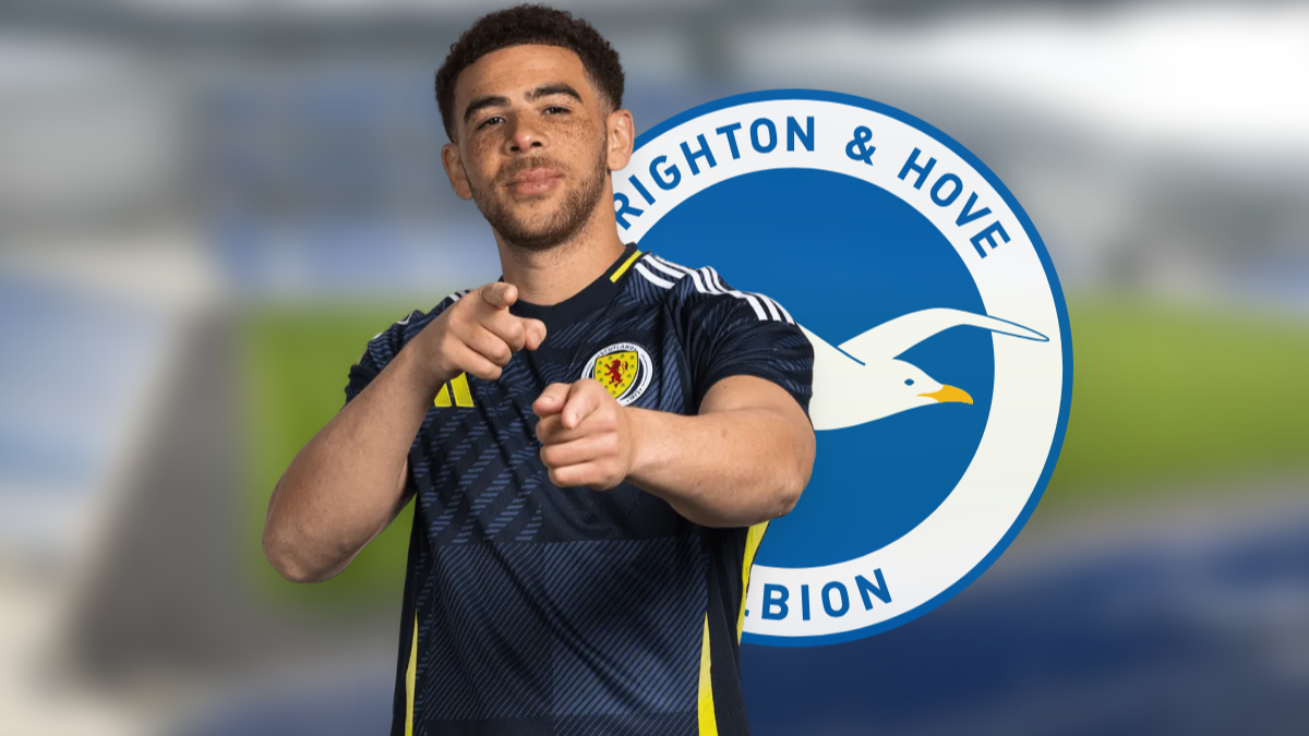 Brighton maintains interest in Torino striker Che Adams hero image