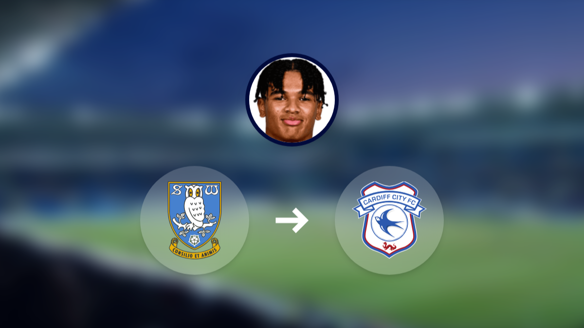 Cardiff City and QPR target Sheffield Wednesday goalkeeper Pierce Charles hero image