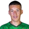 Damir  Redzic player photo