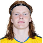 Elvis Van Der Laan player photo