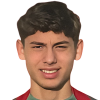 Erik Farkas Leonárd player photo