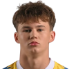 Franciszek Lewandowski player photo