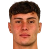 Gabriel Menegon player photo