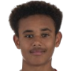 Jordan Zirkzee player photo