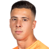 Lorenzo Palmisani player photo
