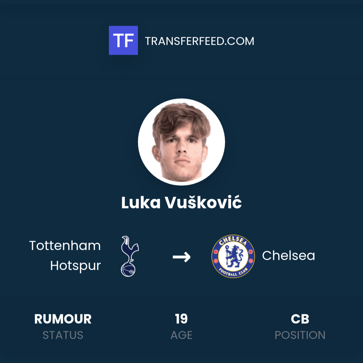 Transfer Manager Luka Vušković Transfer from Tottenham Hotspur to Chelsea - TransferFeed