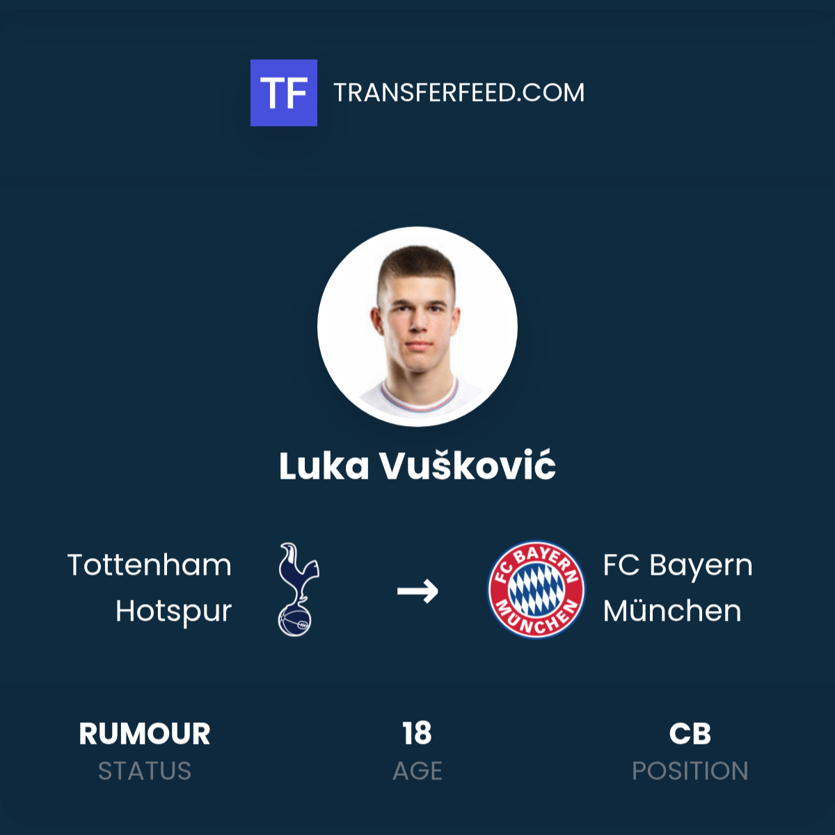Quick Facts: The Luka Vušković Profile