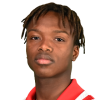 Malik Djibril player photo