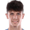 Marco Bevilacqua player photo