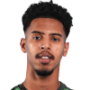 M. Abdulrahman player photo