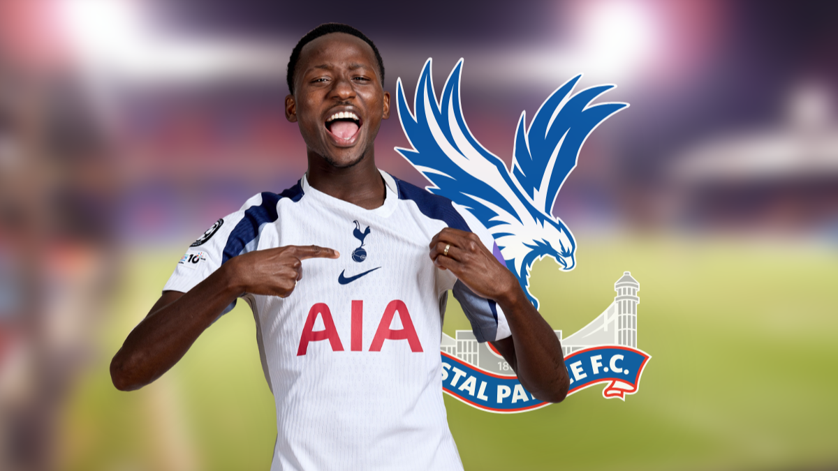Multiple clubs interested in Tottenham's Pape Matar Sarr hero image