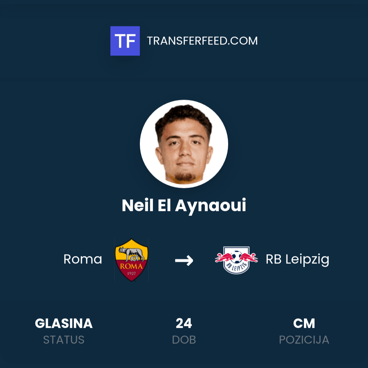 Neil El Aynaoui joins RB Leipzig