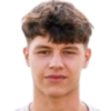 N. Sarcevic player photo