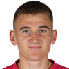 Nikolas Polster player photo