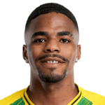 Pedro Henryque player photo