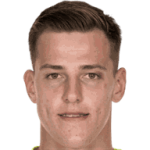 Radek Vitek player photo