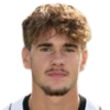 Raffaele Visani player photo