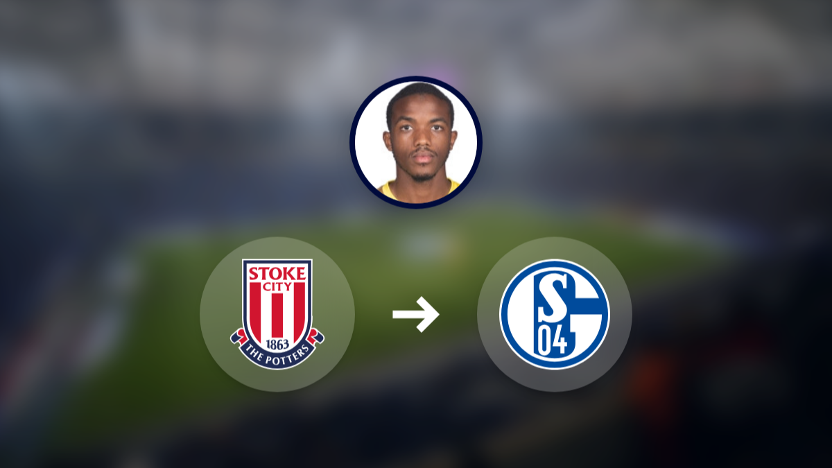 Schalke 04 shows interest in Stoke City's Eric-Junior Bocat hero image