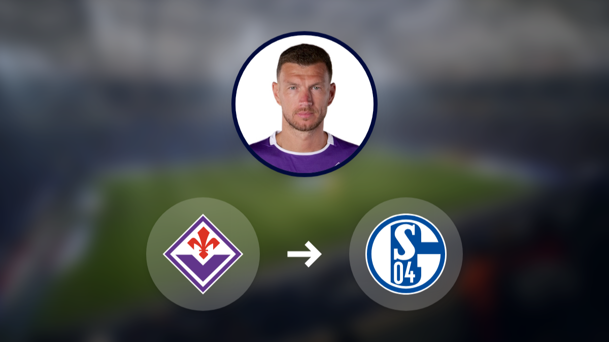 Schalke 04 wants to sign Edin Džeko hero image