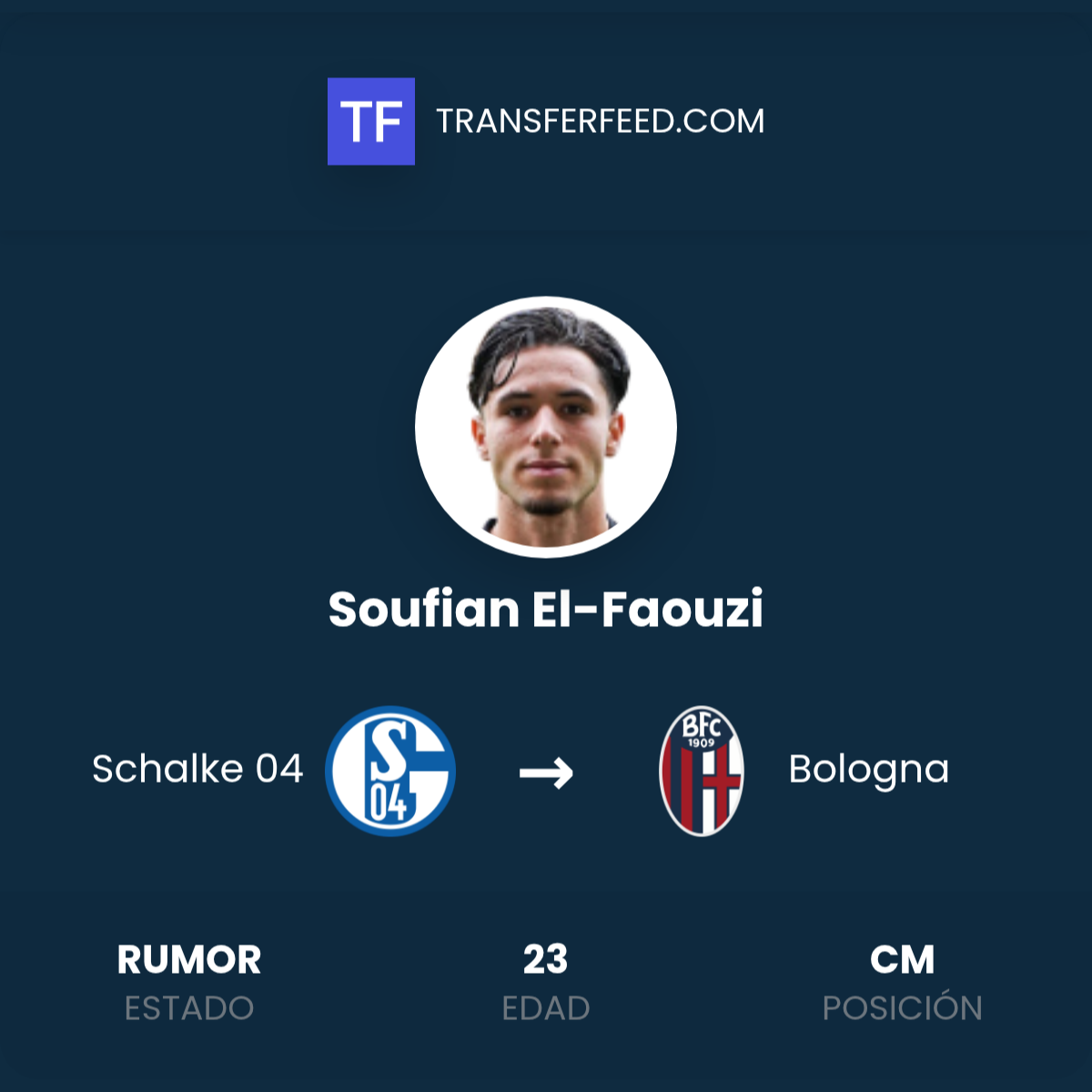 Fichaje de Soufian El-Faouzi: Schalke 04 a Bologna - TransferFeed