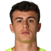Tim Hottiger player photo