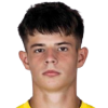 Tobias Paliscak player photo