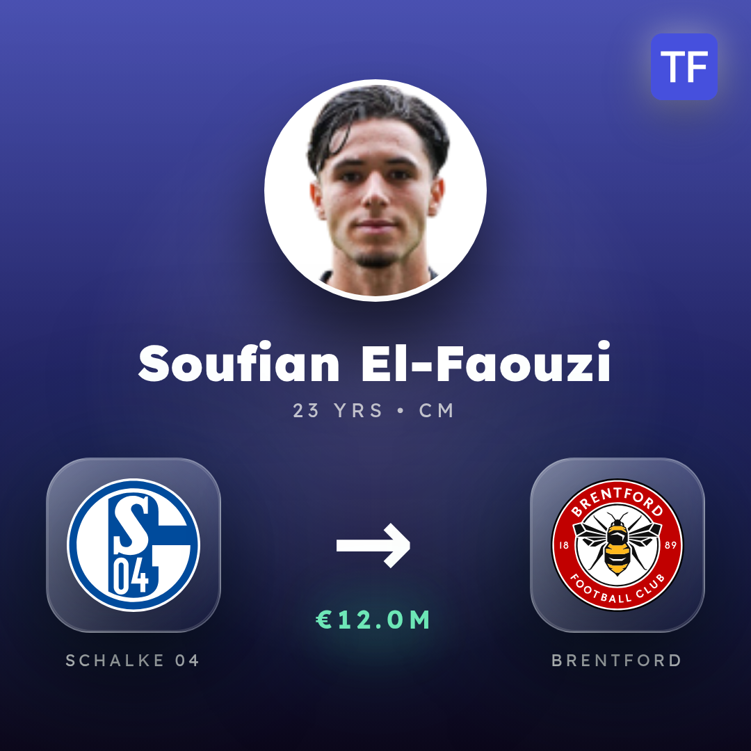 Soufian El-Faouzi transfer card