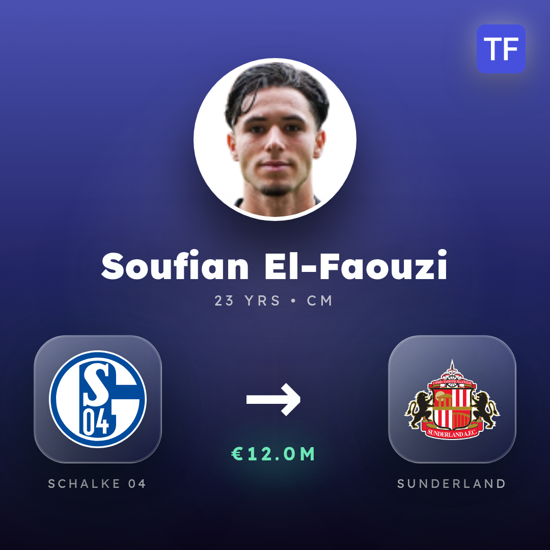 Soufian El-Faouzi transfer card