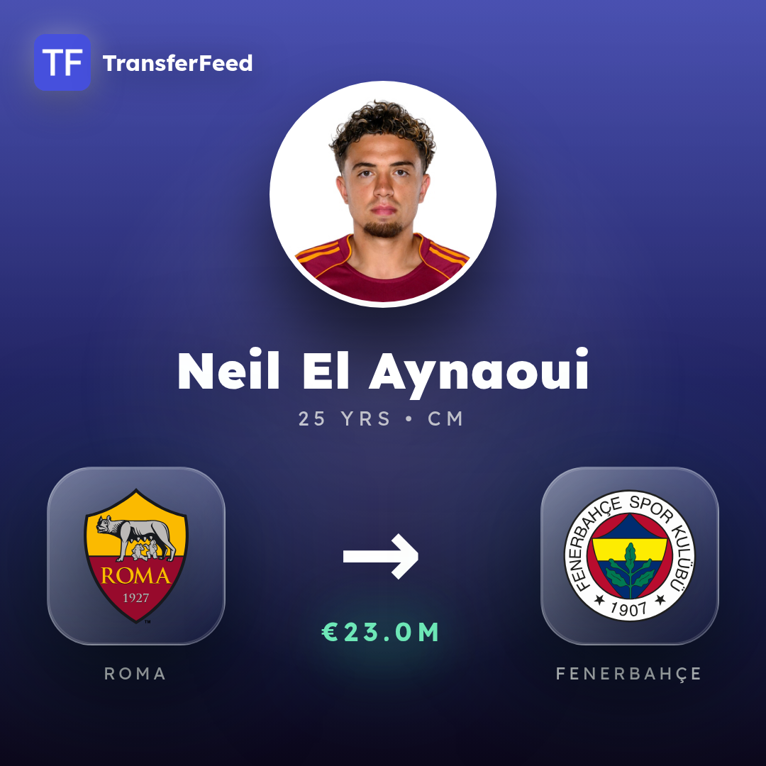 Neil El Aynaoui transfer card