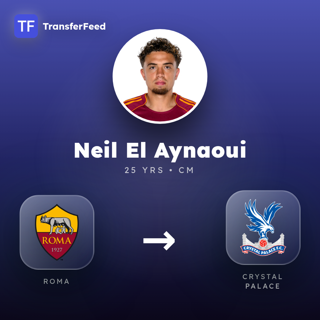 Neil El Aynaoui transfer card