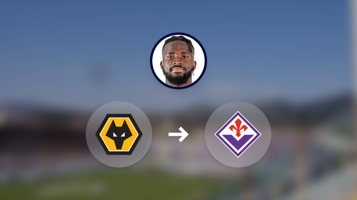 Wolverhampton Wanderers reject Fiorentina's offer for Tolu Arokodare hero image