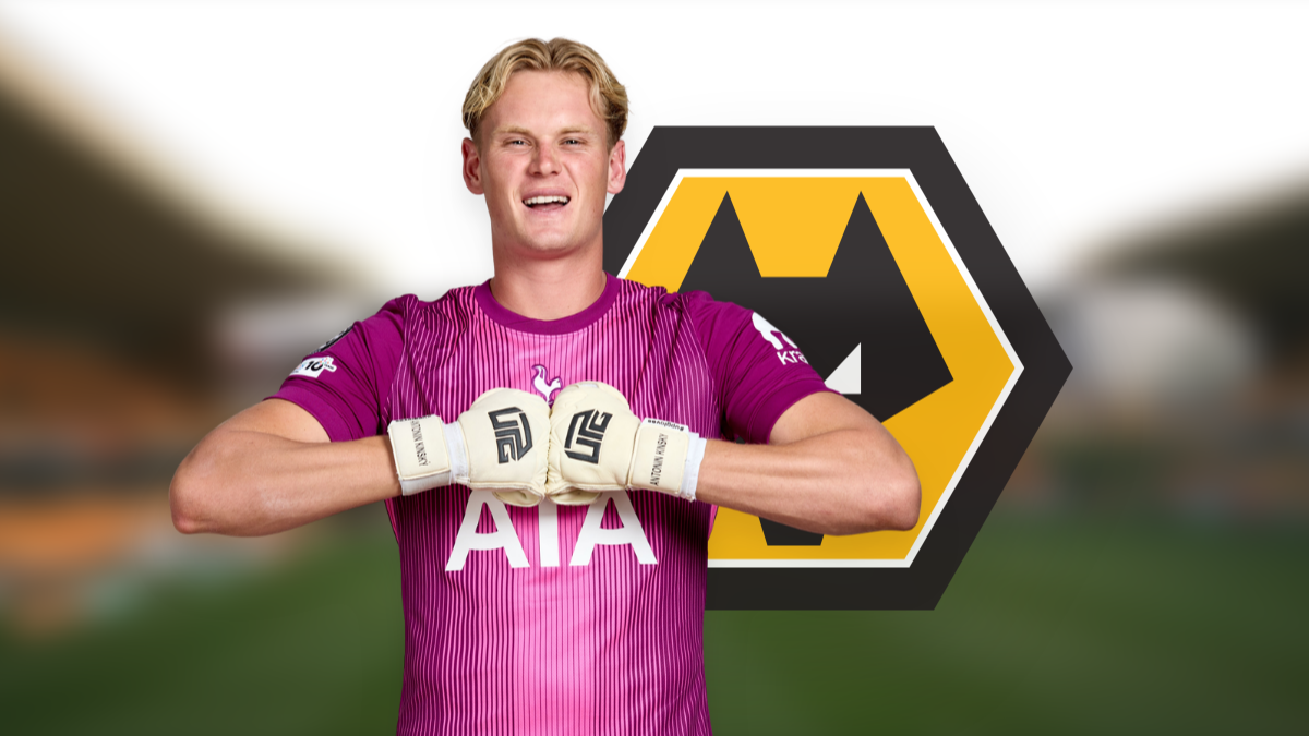 Wolverhampton Wanderers se interesa por Antonín Kinský del Tottenham hero image