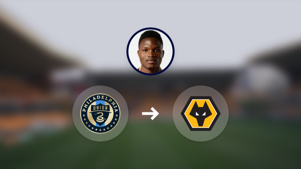 Wolverhampton Wanderers were one of several clubs interested in Olwethu Makhanya hero image